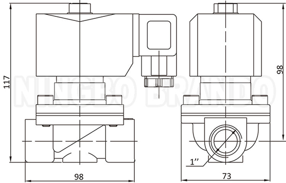 2W250-25 1'' 2 Way Normalmente Fechado Válvula Solenoide de Água de Latão 24V 220V
