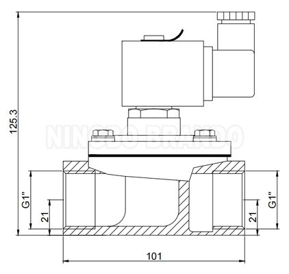 1'' Straight Through Pulse Jet Valve For Dust Collector 24V 110V 220V