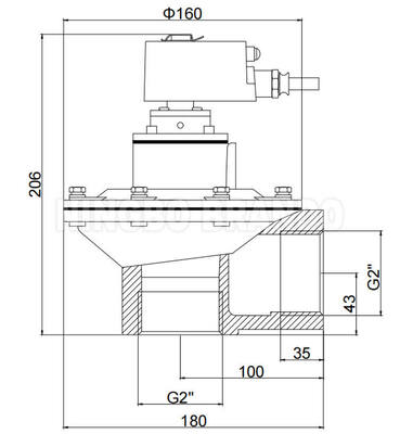 BFEC 2'' DMF-Z-50S com bobina à prova de explosão 24VDC 220VAC