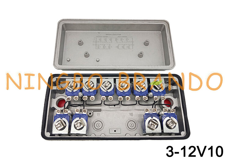 3-12V10 GOYEN Tipo de piloto remoto Caixa de válvulas solenoide 12V 24V 110V 220V