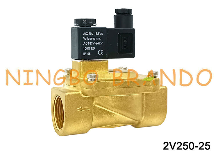 Tipo Airtac 2V250-25 Válvulas de ar da válvula solenóide de 2 vias AC220V 110V DC12V 24V