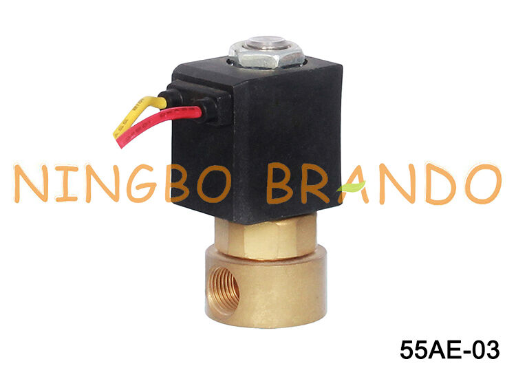 1/8'' 2 Way Normally Closed Direct Acting Brass Solenoid Valve FKM Seal 24V 220V